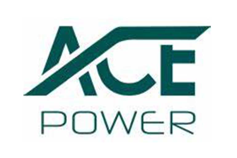 The Regional Joint Development Assessment Panel has unanimously agreed to construct a 200-MW solar farm on the proposal of ACE Power