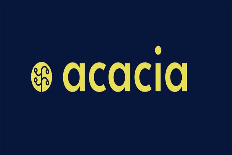 Eren Industries and Acacia are partnering to develop over 500 MW of battery energy storage projects in France.