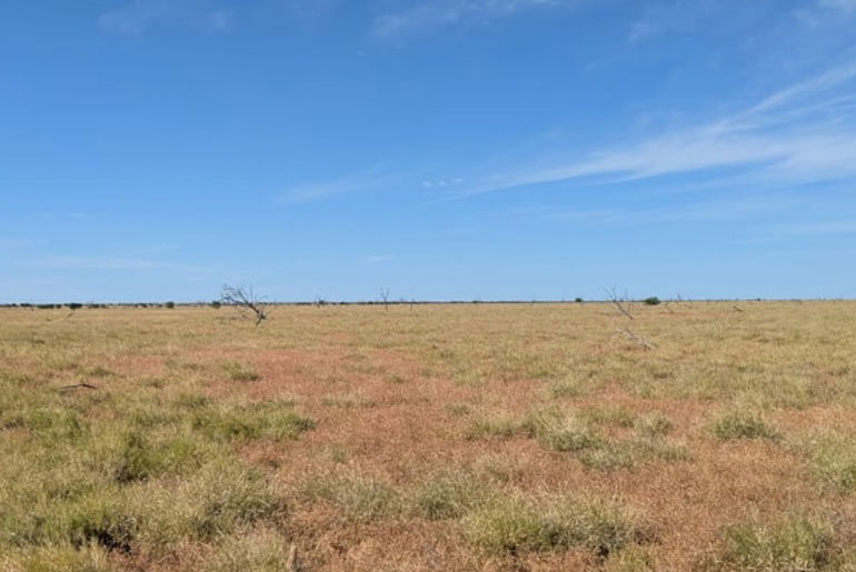 DP Energy has unveiled plans for a massive 1,400MW wind-plus-storage project in Queensland, featuring a 2,000MWh battery to power regional growth and connect to Australia's expanding grid.