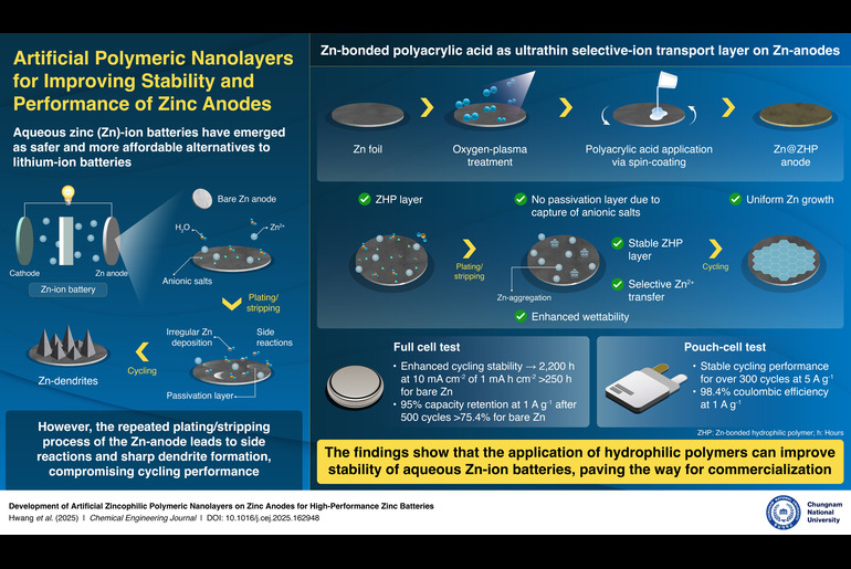 Chungnam National University researchers have developed a zinc-bonded polyacrylic acid layer that stabilizes zinc-ion battery anodes, enhancing safety, performance, and affordability.