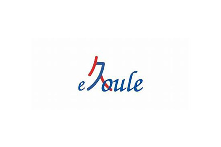 eJoule Supplies Wyon Swiss Batteries High Performance Single Crystal Cathode Active Material