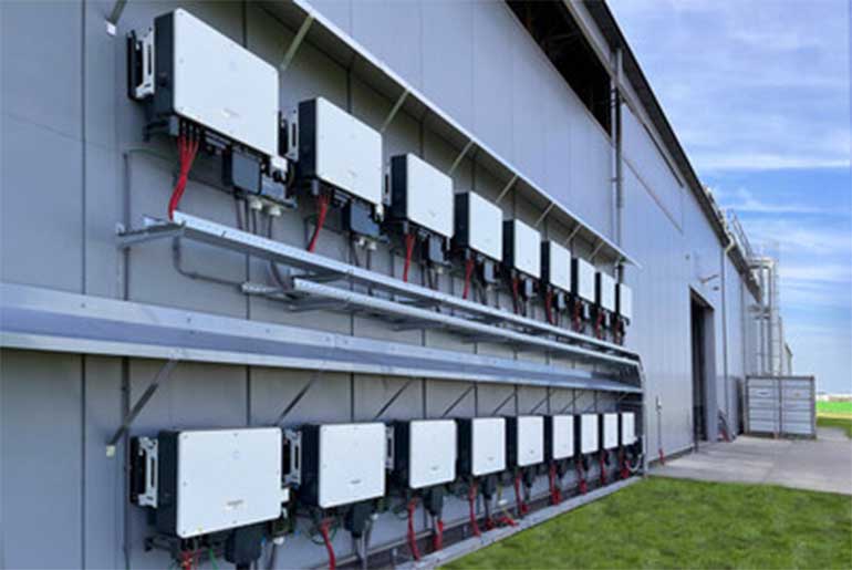 Sungrow Powers Ronico’s Tulip Greenhouses with Clean Solar Energy