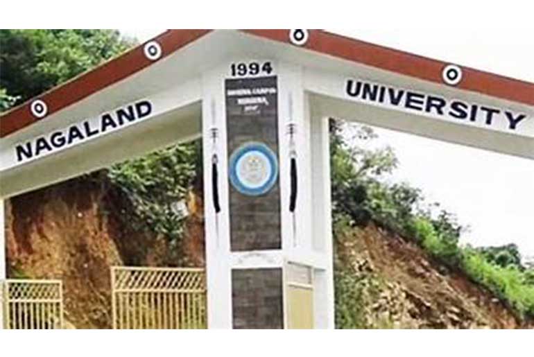 Nagaland University Develops Flexible Supercapacitor for Next-Gen EVs, Wearables & Renewable Energy