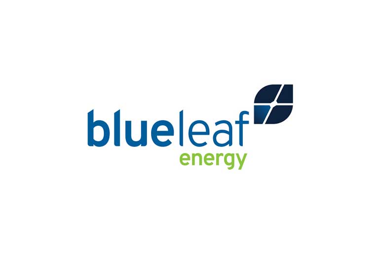 BII Invests $75M to Boost Blueleaf Energy’s Clean Energy Expansion in India