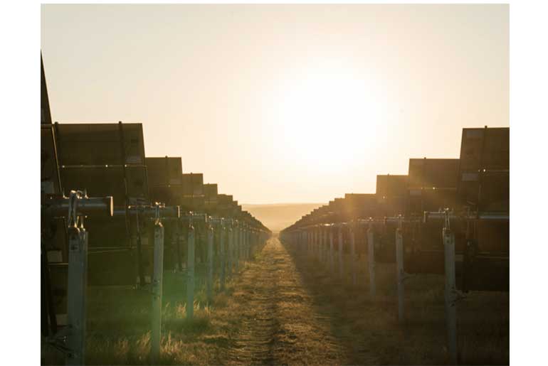 Ingka Investments Makes its First Renewable Energy Investment in India