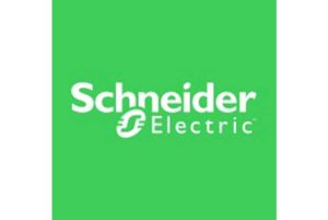 Schneider Electric Unveils Ganpati Installation Made from Electrical Switches in Pune