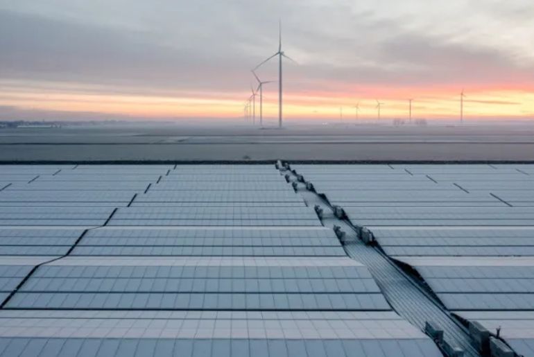 Hanwha Renewables and Chrysalis Renewables Announce Strategic Global Partnership