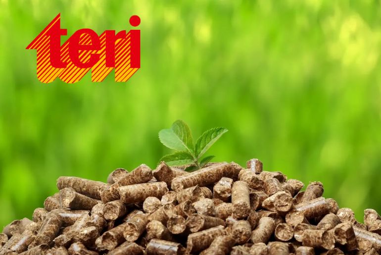 TERI Revives Biomass Gasifier Technology to Offer Affordable LPG Alternative