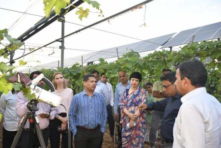 MNRE Secretary Hails Agrovoltaic Model as Blueprint for Rural Clean Energy