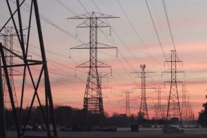 Waaree Renewable Technologies (1)