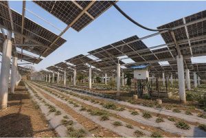 WattPower and Khare Energy to develop innovative agrivoltaics