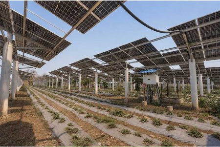WattPower Technology Powers India’s Largest Agrivoltaics Plant Developed by Khare Energy WattPower and Khare Energy to develop innovative agrivoltaics