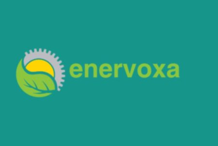 Enervoxa Explores Rare Earth Concentrates Plant in India