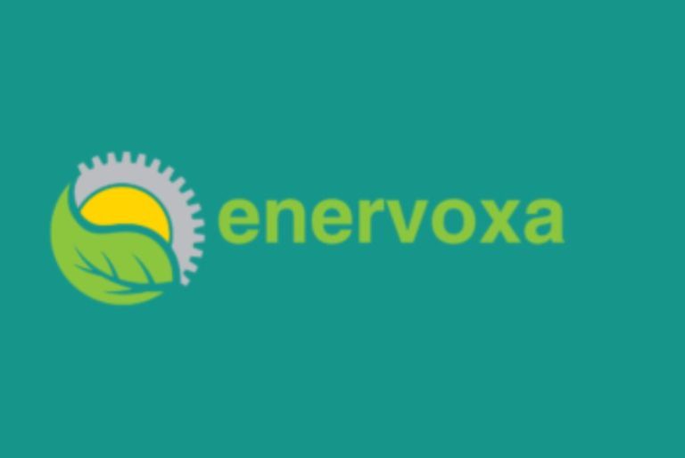 Enervoxa Explores Rare Earth Concentrates Plant in India