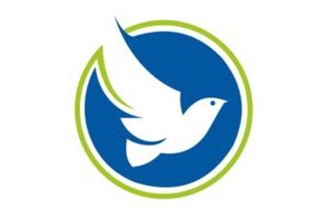 Bluebird Solar Wins 278 MW Solar Module Supply Contract for SJVN Renewable Energy Projects