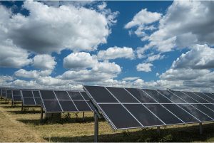 GREW Solar Expands North India Distribution Network