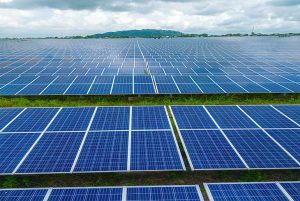 Waaree Energies Bags 739.71 MW Solar Module Supply Order, Strengthens Order Pipeline Waaree Energies Bags 739.71 MW Solar Module Supply Order, Strengthens Order Pipeline