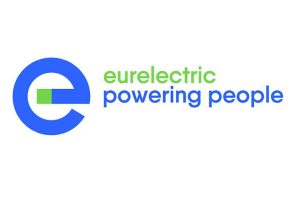 Europe Needs More Storage and Flexibility to Strengthen Energy Resilience
