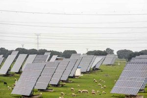 ACME Solar Signs 400 MW FDRE PPA with NTPC at ₹4.37 per Unit ACME Solar Signs 400 MW FDRE PPA with NTPC at ₹4.37 per Unit
