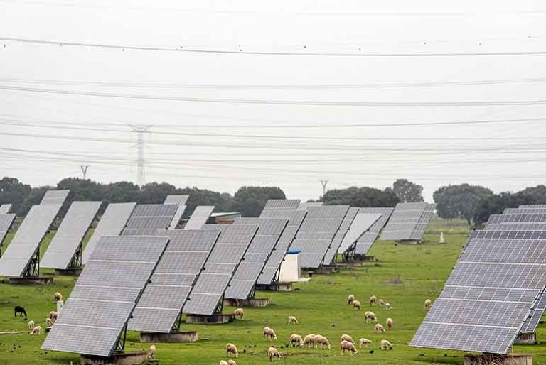 ACME Solar Signs 400 MW FDRE PPA with NTPC at ₹4.37 per Unit ACME Solar Signs 400 MW FDRE PPA with NTPC at ₹4.37 per Unit