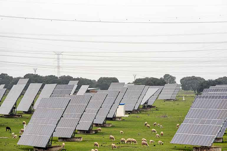 ACME Solar Signs 400 MW FDRE PPA with NTPC at ₹4.37 per Unit ACME Solar Signs 400 MW FDRE PPA with NTPC at ₹4.37 per Unit