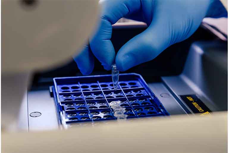 Top 5 Cell Manufacturing Companies in Battery Energy Storage Systems Top 5 Cell Manufacturing Companies in Battery Energy Storage Systems