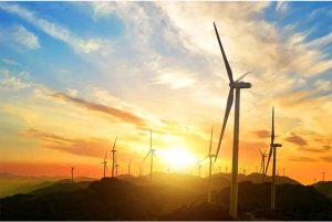 Renewable Energy Partnership to help decarbonise Kruger National Park in its Centenary Year