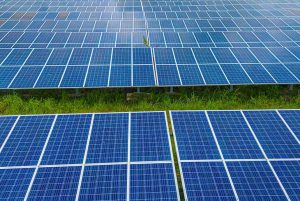 Vikram Solar Wins 187 MW Module Supply Order for Solar Projects in Karnataka and Tamil Nadu