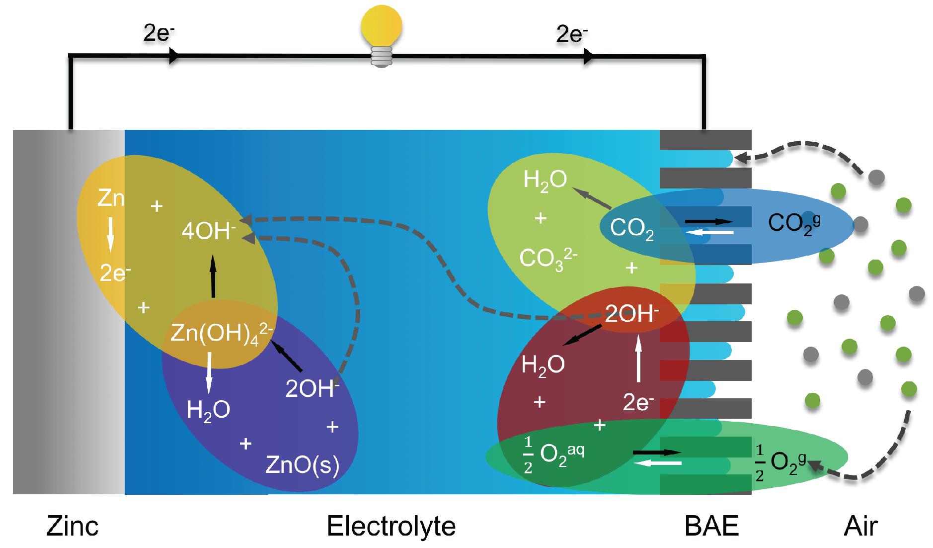 New Metal-Free Catalyst Could Lead to Cheaper Zinc-Air Batteries